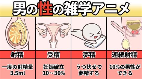 射精 気持ちいい 理由|射精のしくみ～精液を放出する驚異のメカニズム 